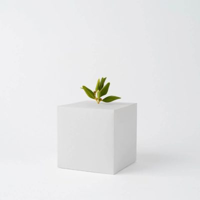 Ceramic Plant Pot