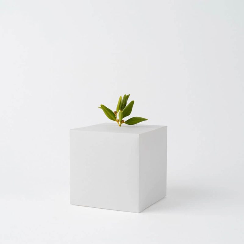 Ceramic Plant Pot